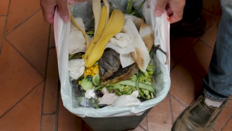 Best Property Management Cleanouts  in Rayne, LA