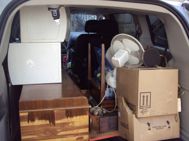Best Shed Removal  in Rayne, LA